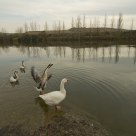 Ebro River in Briñas, La Rioja